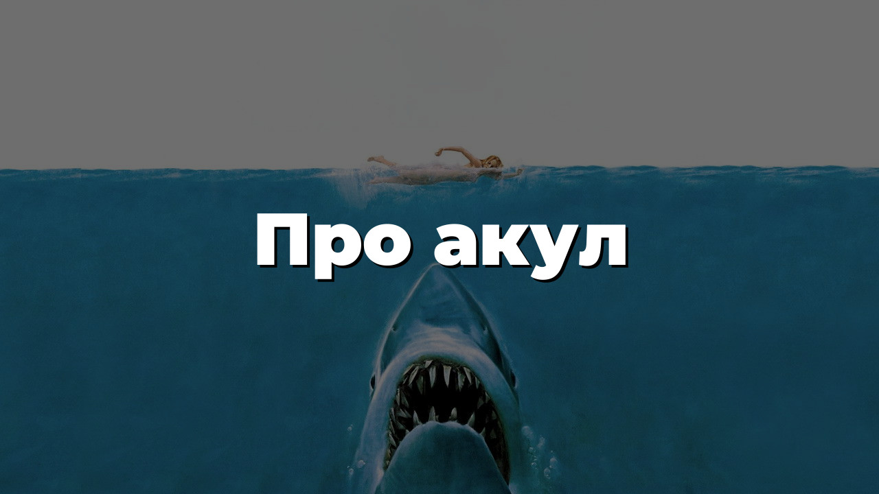 Про акул