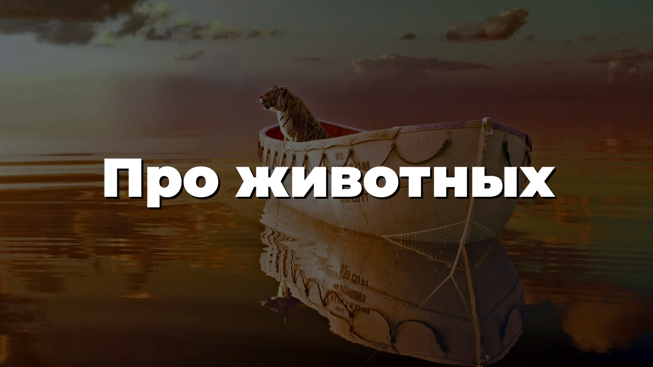Про животных